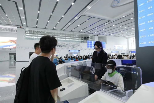 南鐵單日旅客發(fā)送量創(chuàng)歷史新高，旅游信息咨詢量激增
