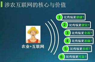 14頁PPT精講 農業+互聯網運營實戰——游戲化產品營銷的純干貨指南